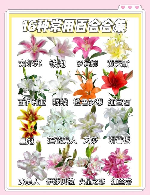温度：保持凉爽环境，减慢花朵新陈代谢
