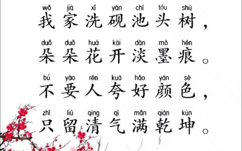 墨梅诗中梅花的特点与园艺百科