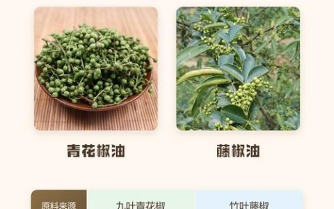 花椒油与藤椒油的区别是什么？6维度对比与选购指南