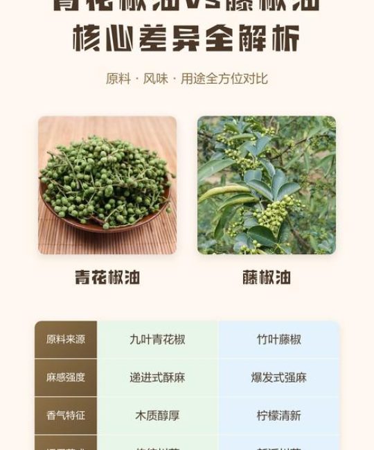花椒油与藤椒油的区别是什么？6维度对比与选购指南