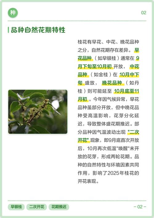 分步排查清单