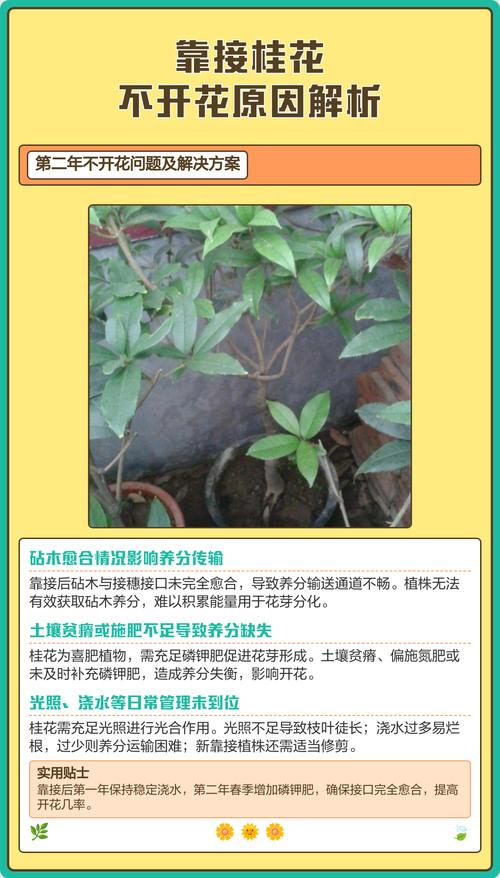 处理办法