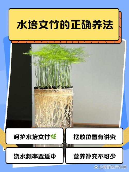 水培植物根系太长能够修剪吗?养护专家教你正确操作 换盆(换容器):根系占满容器时需及时扩容