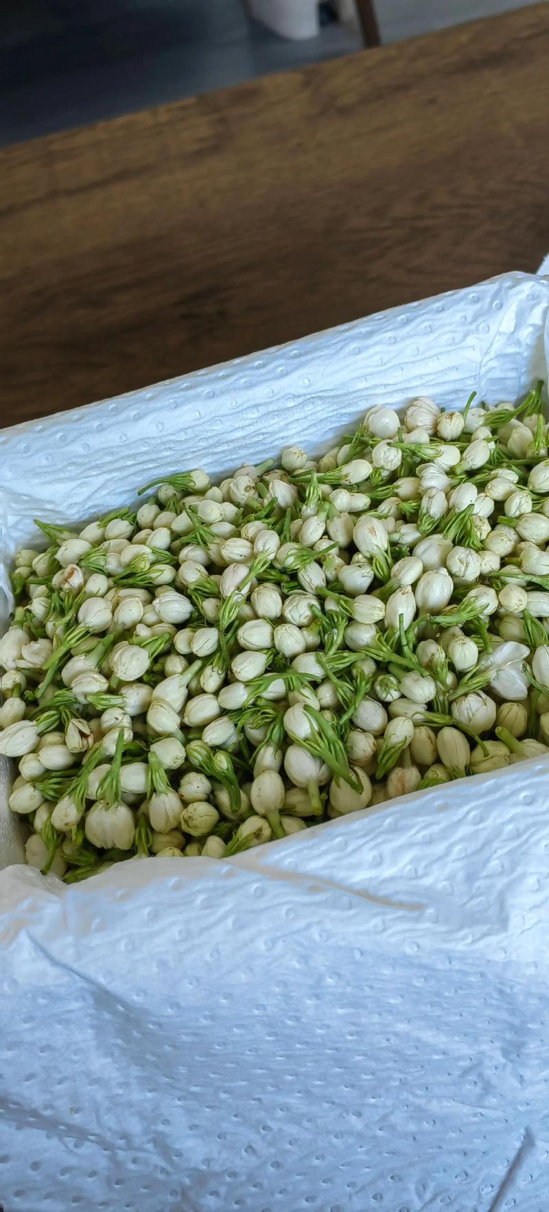 鲜茉莉花怎么保存?园艺达人的5个实用妙招,让花香持久不散 三、常见误区提醒