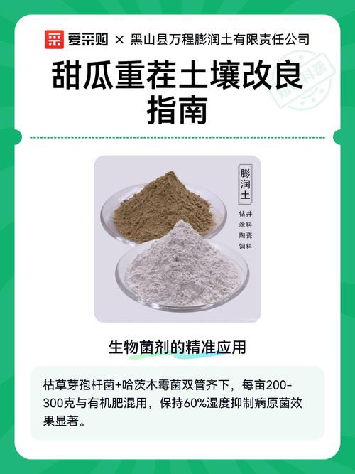 越冬越夏：重茬地块的植物在极端季节需格外注意保护根系