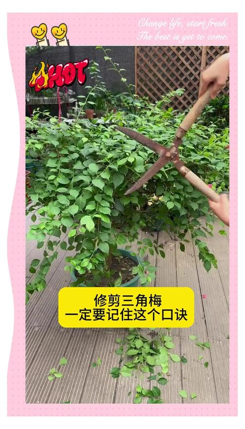 总结