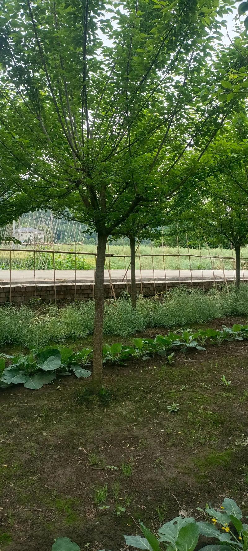 第三步：运输与装车方案——防患于未然