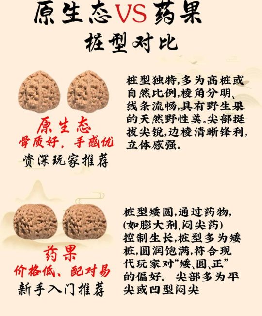 黑核桃与普通核桃的区别：品种、习性及种植指南