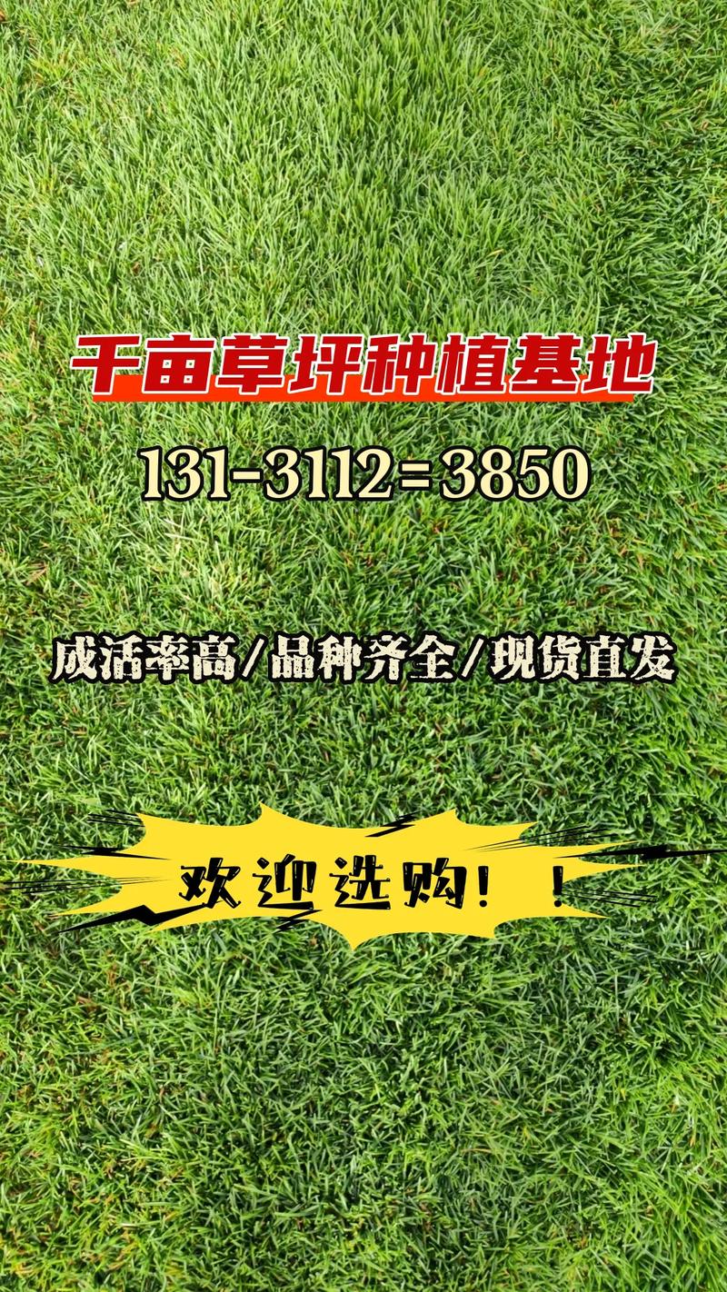 常见错误纠正