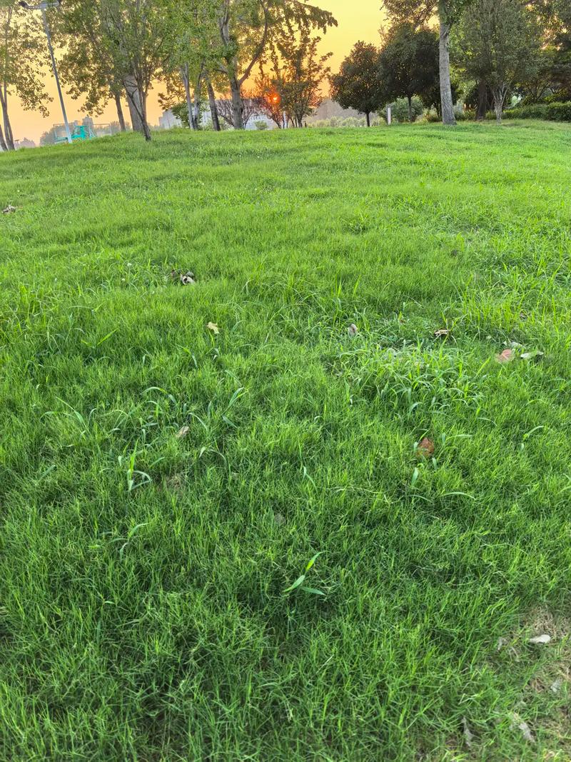 总结