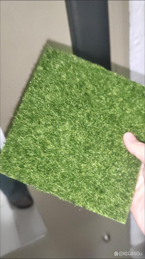马尼拉草皮多少钱一平方?2026年价格与选购完整指南 影响马尼拉草皮价格的关键因素