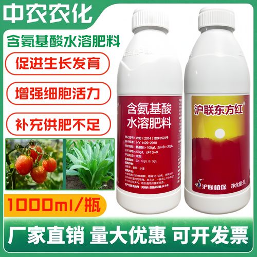 施肥时机与操作步骤