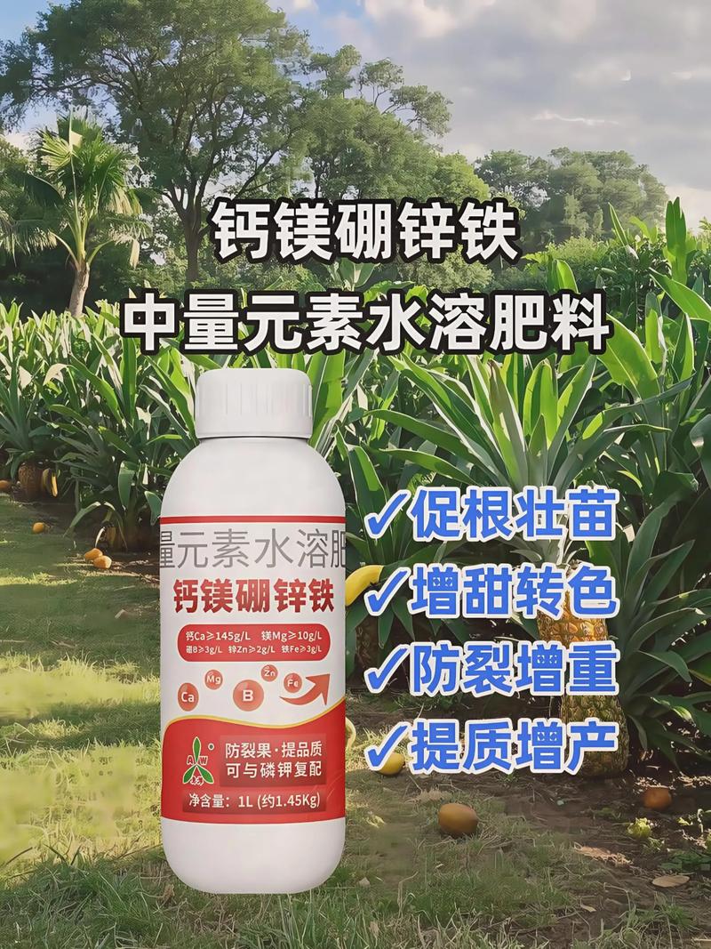 浇水配合与注意事项