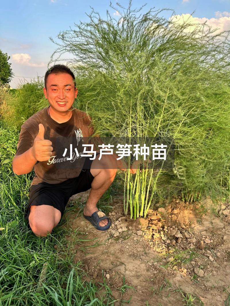 一、适宜时间