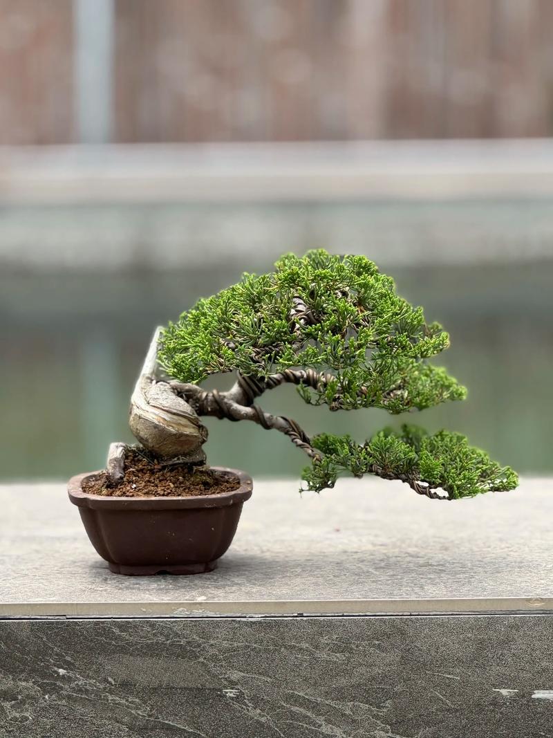 三、适合与不适合：你属于哪一类？