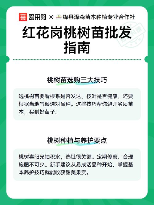 桃树苗批发价格是多少?2024年最新价格区间与采购指南 综合价格参考表(2024年数据)
