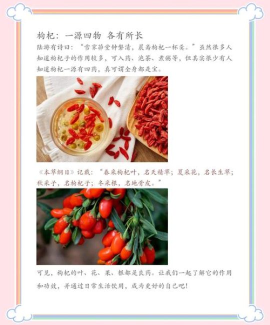枸杞湖南种植技术指南：七步教你轻松种活枸杞