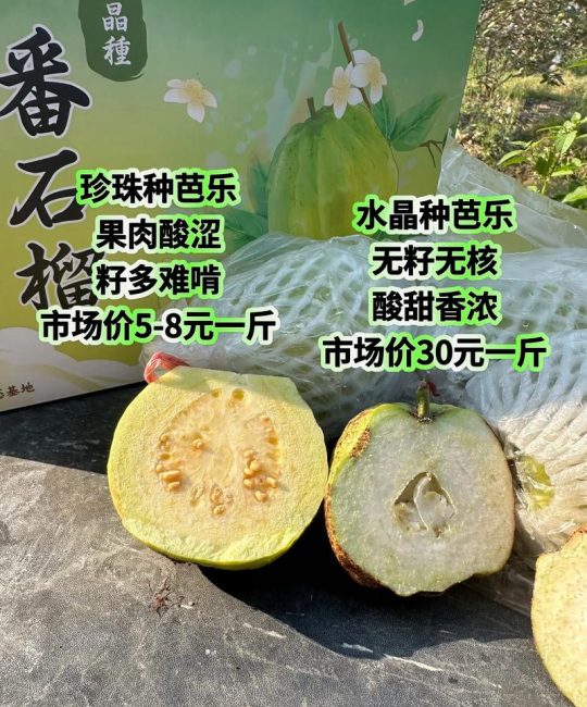 芭乐和石榴有什么区别？