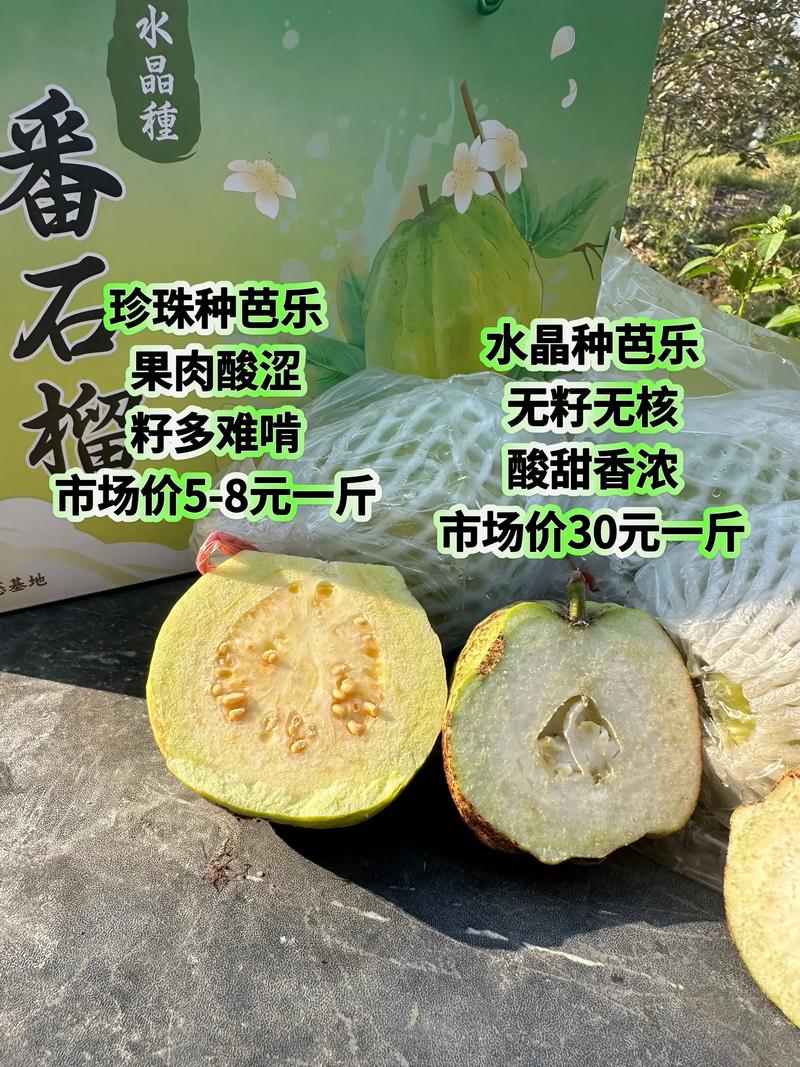 芭乐和石榴有什么区别? 芭乐和石榴有什么区别?