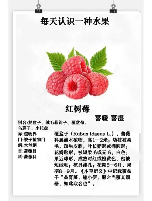 4. 数量：个人与批发，量大价优