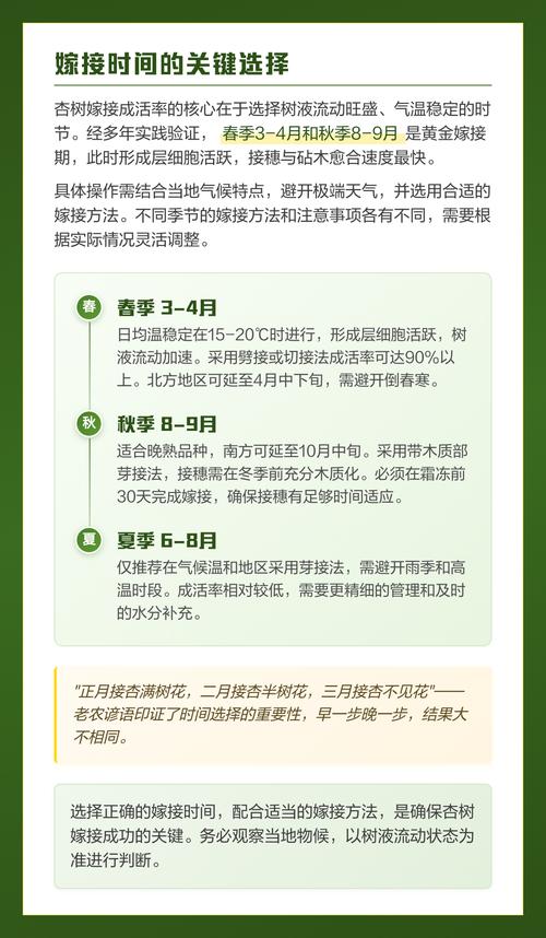 杏树嫁接最佳时间及嫁接方法:提高成活率与早果丰产的实操指南 杏树嫁接最佳时间及嫁接方法:提高成活率与早果丰产的实操指南
