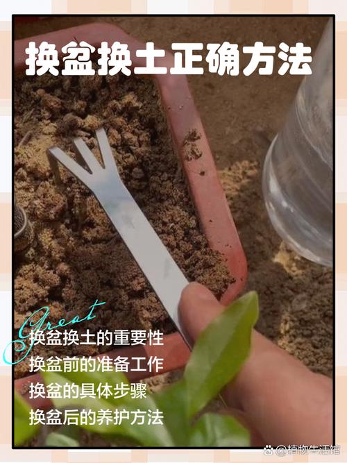 盆景松树适合什么土壤:配土配方、酸碱度与换盆操作全指南 盆景松配土FAQ