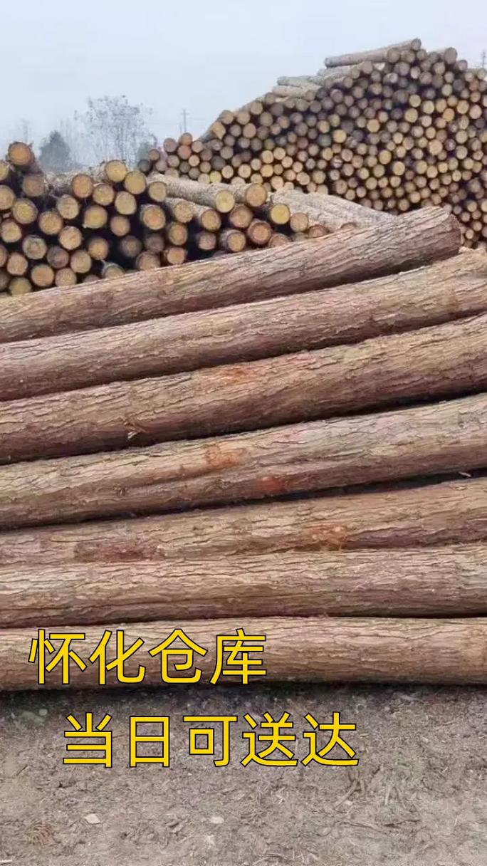 咨询指南