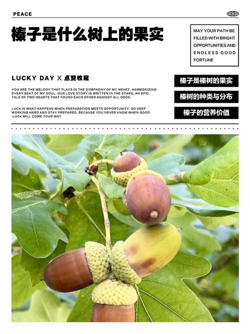 榛子南方能种吗?一文读懂南方种植可行性、品种选择与关键栽培技术 五、常见错误提醒