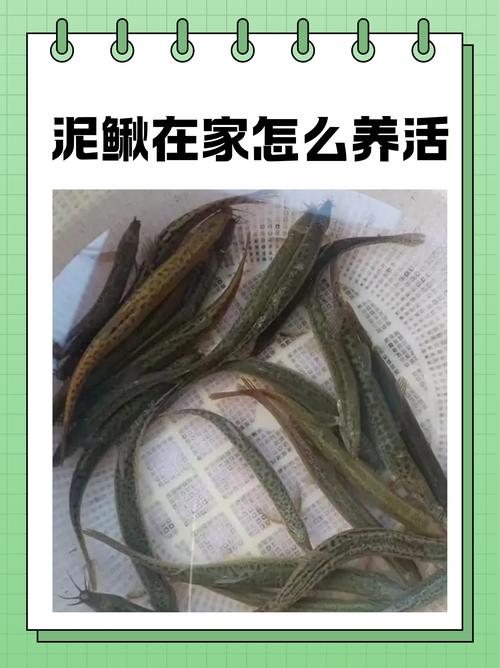 一、线下渠道：看得见摸得着