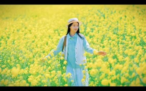 丁香花的养殖方法和注意事项：光照水肥与修剪全攻略