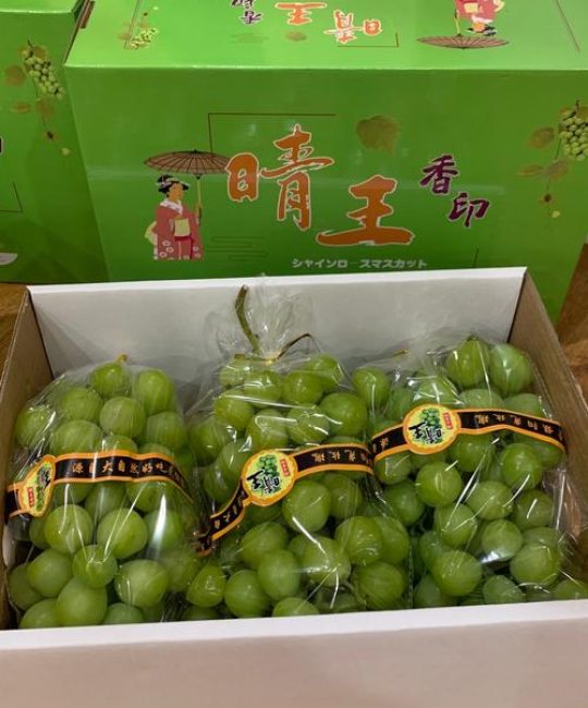 晴王和阳光玫瑰葡萄是一个品种吗？2026年家庭种植与市场价值全解析