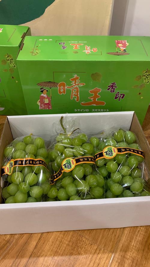 晴王和阳光玫瑰葡萄是一个品种吗?2026年家庭种植与市场价值全解析 晴王和阳光玫瑰葡萄是一个品种吗?2026年家庭种植与市场价值全解析