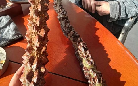 花椒木手串盘玩效果与保养全指南：从素串到玻璃底