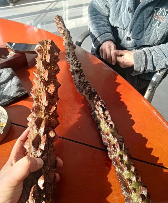 花椒木手串盘玩效果与保养全指南：从素串到玻璃底