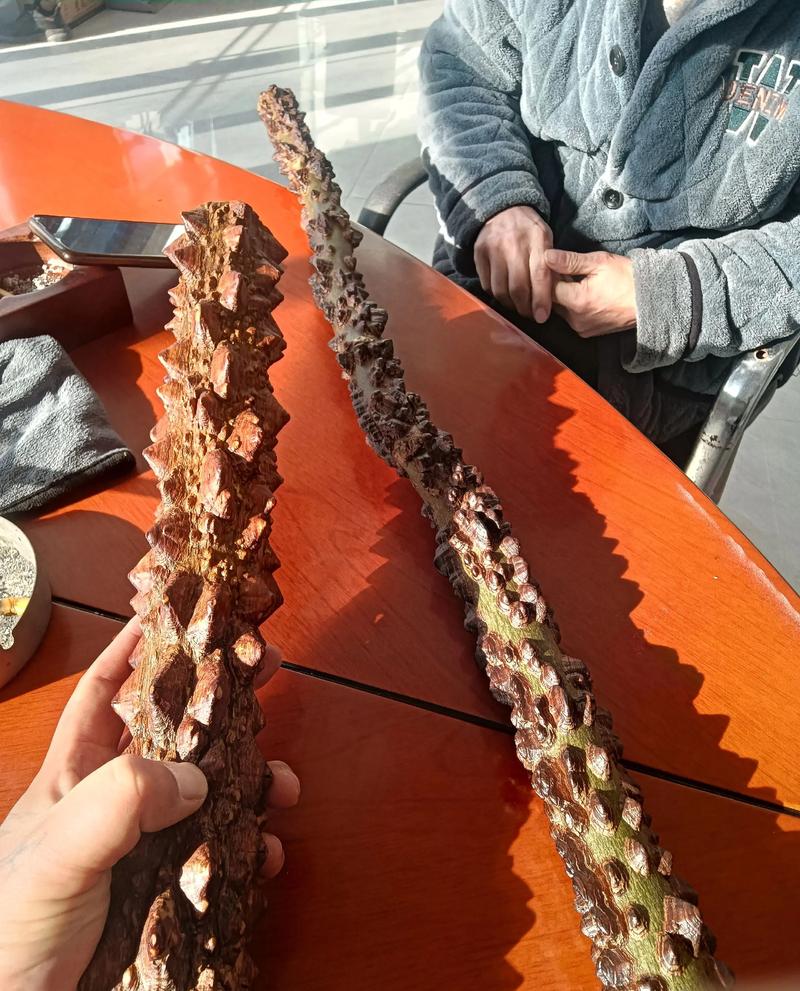 花椒木手串盘玩效果与保养全指南:从素串到玻璃底 花椒木手串盘玩效果与保养全指南:从素串到玻璃底