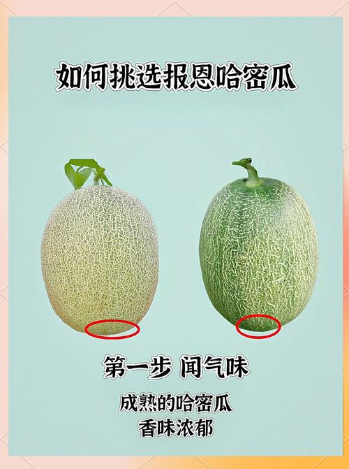 选对种子，种出好瓜