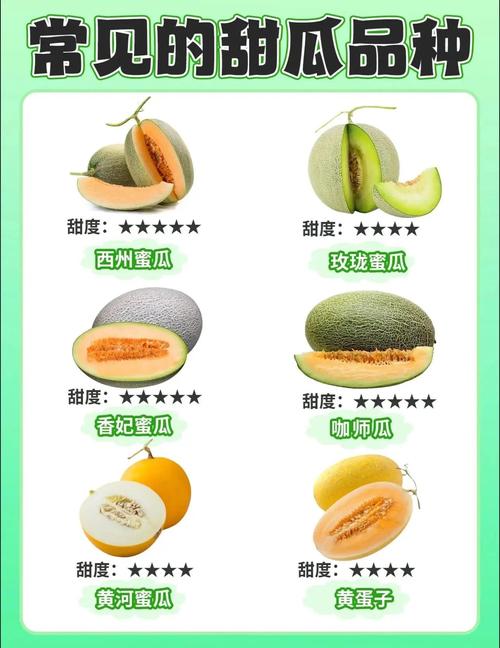 总结