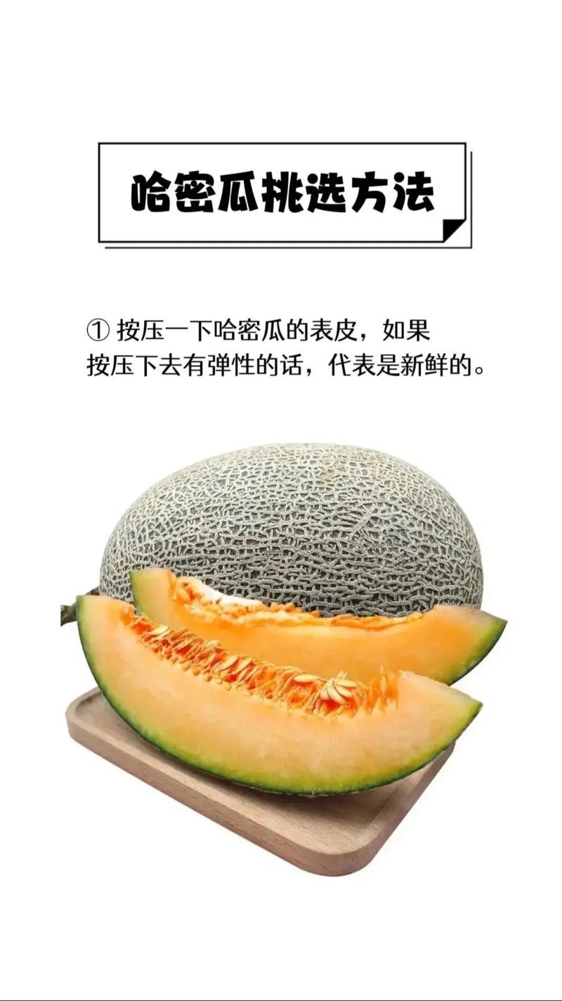 关键维度逻辑解释