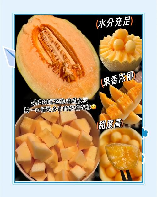 场景化选择建议
