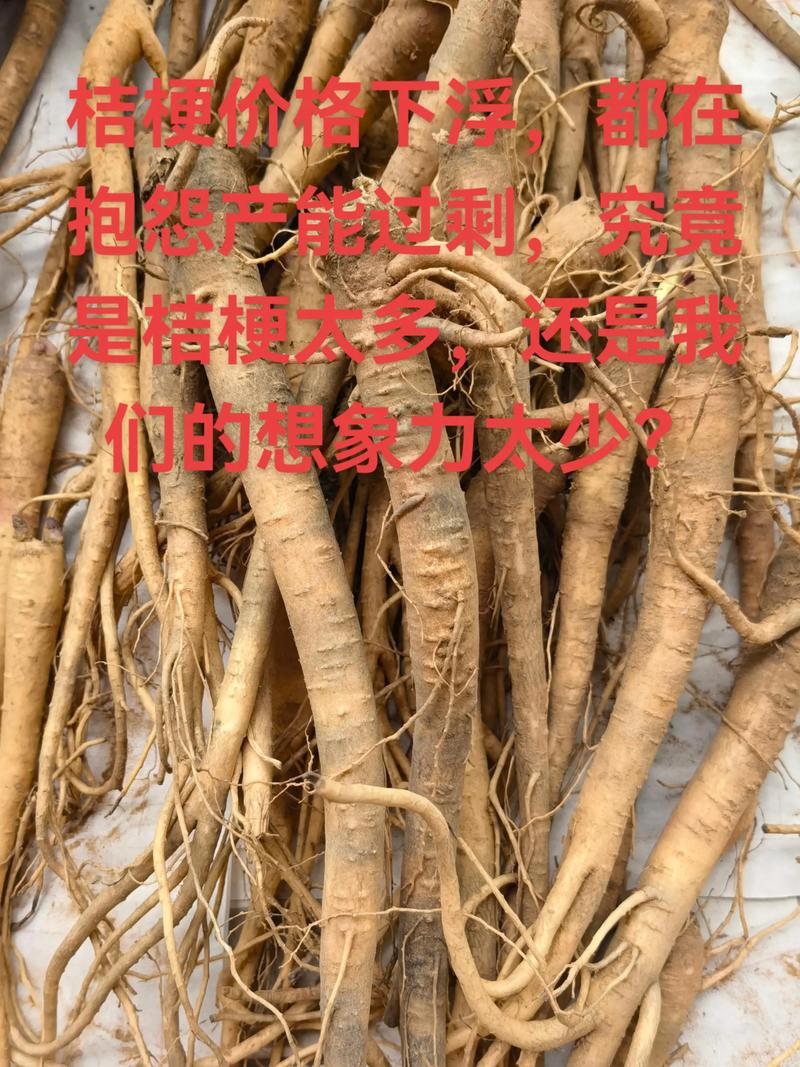 桔梗苗价格是多少?规格、产地、采购量影响报价 季节因素