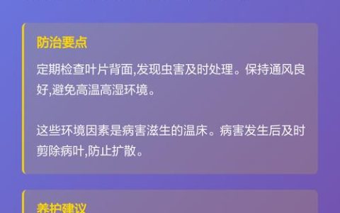 木槿花黄叶怎么办？四大原因排查与补救指南