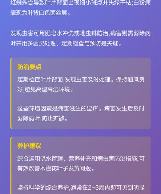 木槿花黄叶怎么办？四大原因排查与补救指南