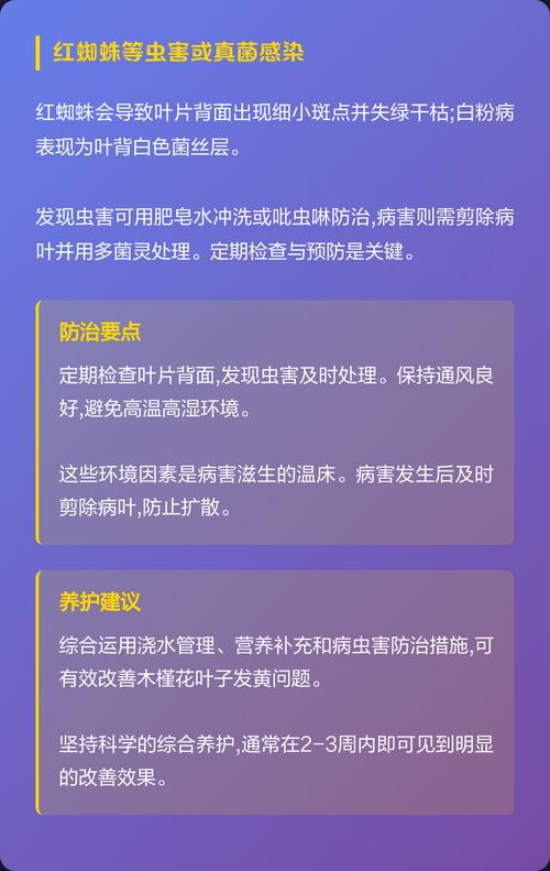 木槿花黄叶怎么办?四大原因排查与补救指南 木槿花黄叶怎么办?四大原因排查与补救指南