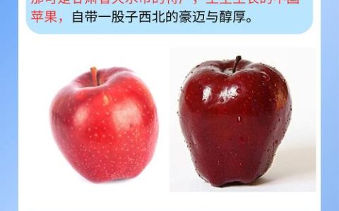 花牛苹果品种哪个最好？元帅系、新红星、首红多维对比与种植指南