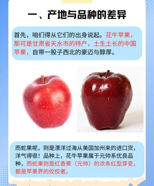 花牛苹果品种哪个最好？元帅系、新红星、首红多维对比与种植指南