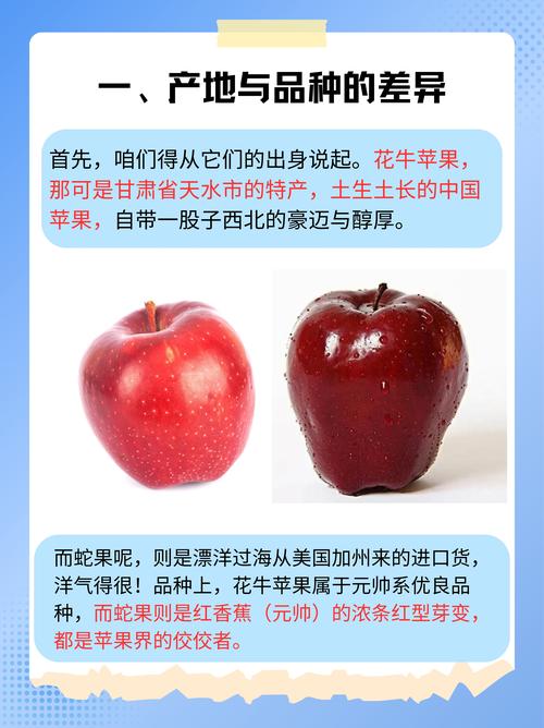 花牛苹果品种哪个最好?元帅系、新红星、首红多维对比与种植指南 一、三大花牛苹果品种6维度对比表格
