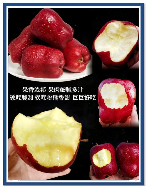 花牛苹果品种哪个最好?元帅系、新红星、首红多维对比与种植指南 三、家庭种植与新农人选择建议
