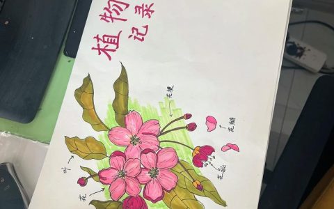 阿尔宙斯樱花宝的园艺启示：如何在家种植一株美丽的樱花