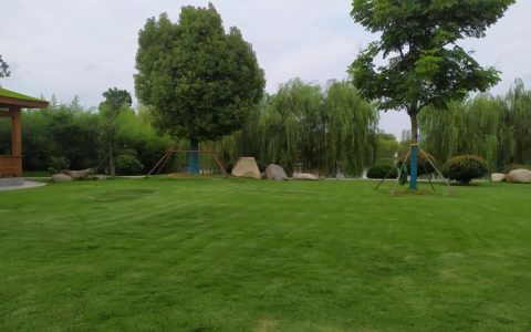 科学采购指南：如何找到并评估附近可靠的绿化草坪供应商