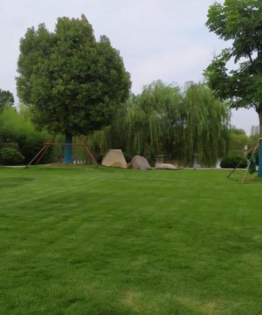 科学采购指南：如何找到并评估附近可靠的绿化草坪供应商